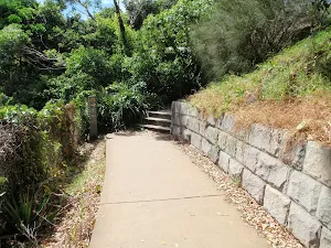 Path behind Lady Bay