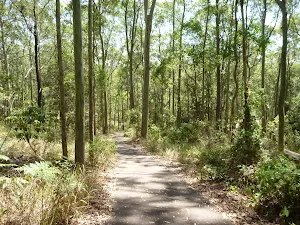 North facing foot path down to Richley Reserve in Blackbutt Reserve