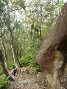 Steep valley on Hornsby steps