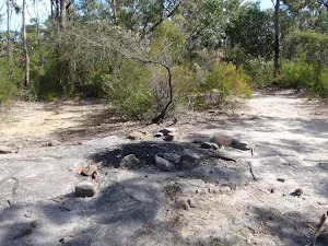 Fire place and clearing behind Lost World Lookout