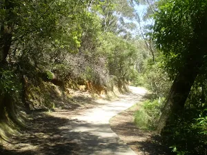 Track east of Echo Point