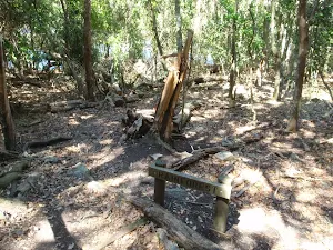Rainforest signpost