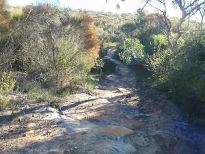 Glimpses over the thick heath on Topham track