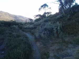 Flying fox track near Guthega service trail