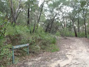 Int of Cascades and Upper Cambourne Track