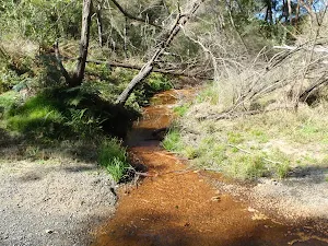 Cossing the lower end of Ten Mile Hollow Creek