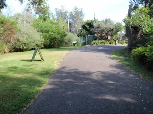 Steele Point