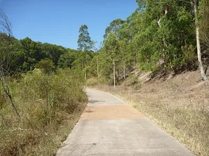 A small clearing on the Zig Zag Track in Green Point Reserve