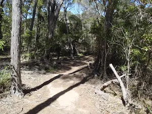 Bournda Lagoon Track