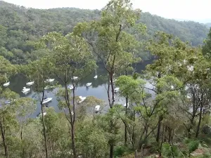 Apple Tree Flat Lookout