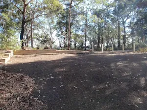 Looking up at Dolly Ave