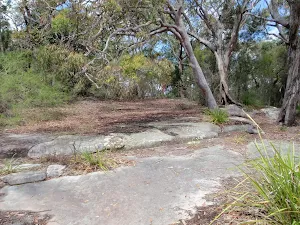Tumblecowii flat rock clearing
