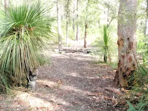 Near Campsite