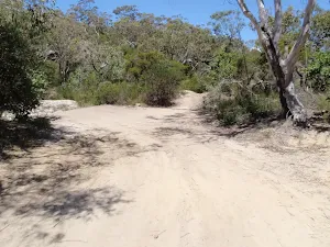 Int of Highway Ridge Track and Patonga Creek trail
