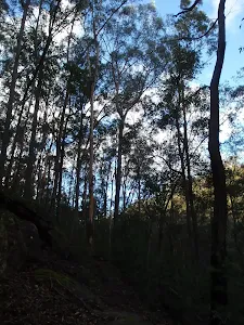 Bush through Pippas Pass