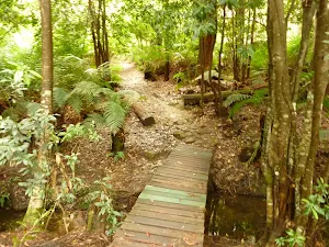 Timber bridge near Pines campsite in the Watagans