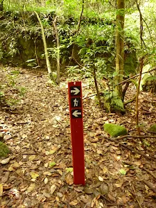 Track marker near Dora Creek