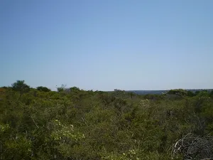 The heath