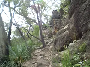 Climbing up from Berowra Waters