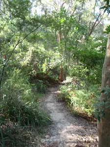 Flat Rock beach track