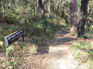 Flannel Flower track sign