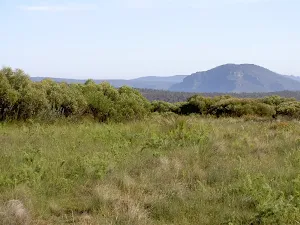 View from Flat Top