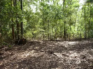 The end of Wild Boar Road