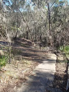 Path down from Berowra
