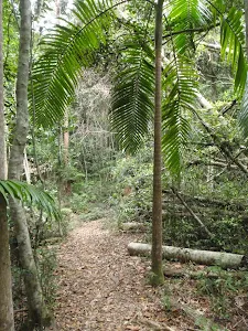 Waterman Walk