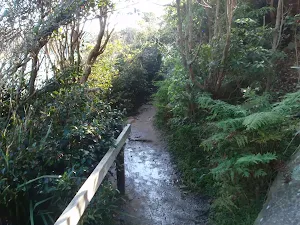 Manly Scenic Walkway