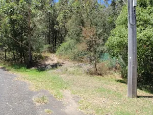 Trackhead near the start of Bembooka Rd 