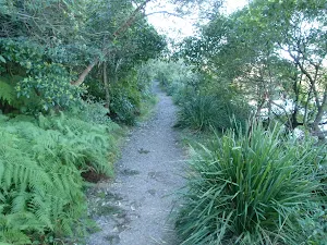 Track east of Ellery's Punt Reserve
