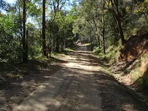 Dubbo Gully Rd management trail