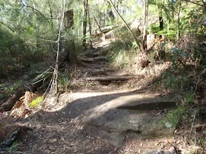 Rough steps up the hill