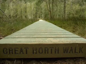 Boardwalk near Calna Creek