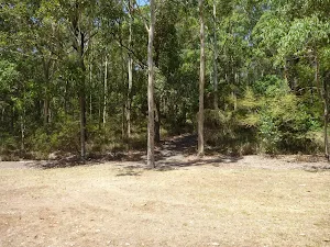 Footpath leaving the large grassy picnic area in Richley Reserve