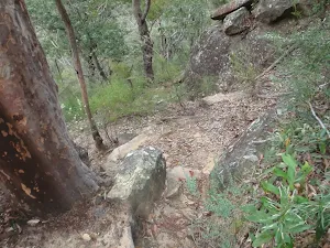 Step drop along track