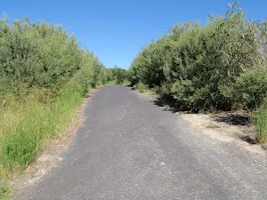 Sealed track between Freemans Camping area and Birdie Beach carpark