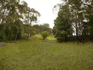 Grassy slopes through the Mt Sugarloaf picnic area