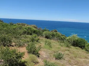 Whale watching area on Wybung Head