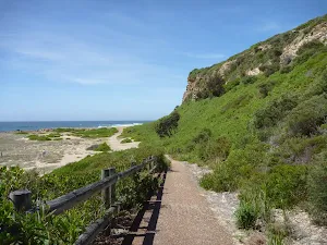 Timber fence beside track on the Coastal walk in Caves Beach