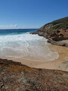Timber Beach