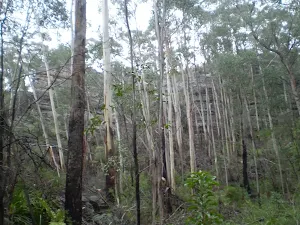 The cliffs surrounding Deep Pass