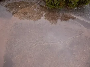 Fish engraving
