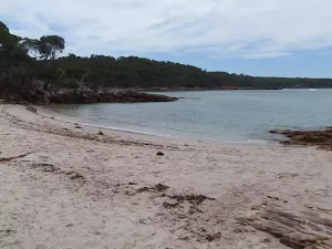 Bittangabee Bay carpark to beach