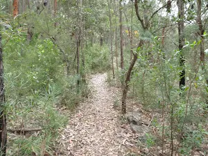 Track through heath below Plateau Pde