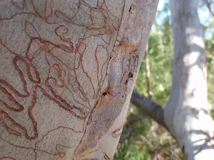 Beautiful patterns and shapes