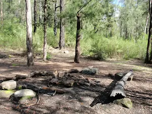 Lower Lincoln Campsite