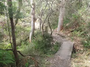 small bridged tributaries are all over the valley