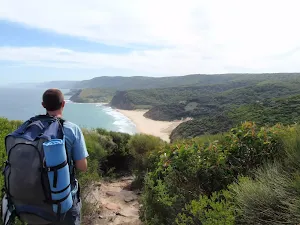 Viewing Garie Beach